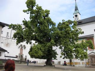 IMG_1087.JPG