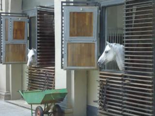 DSC00102.JPG