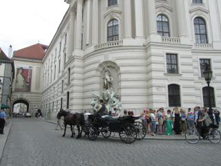 IMG_3141.JPG