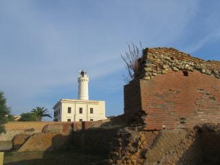 IMG_4774.JPG