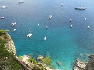 IMG_4626.JPG