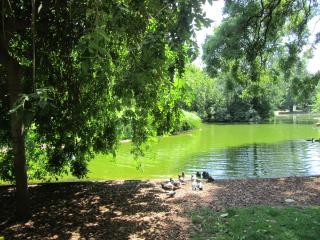 IMG_3201.JPG