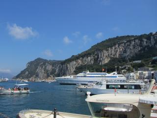 IMG_4580.JPG
