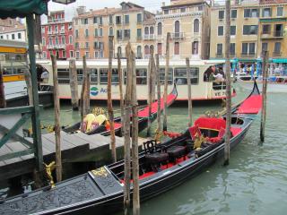 IMG_3501.JPG