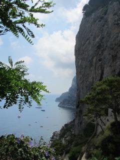 IMG_4616.JPG
