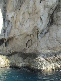 IMG_4735.JPG