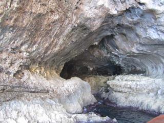 IMG_4701.JPG
