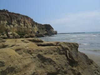 IMG_4757.JPG