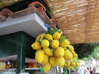 IMG_4636.JPG