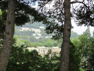 IMG_4633.JPG