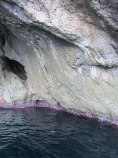 IMG_4696.JPG