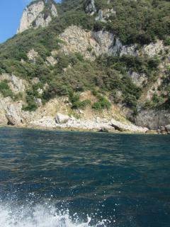 IMG_4653.JPG
