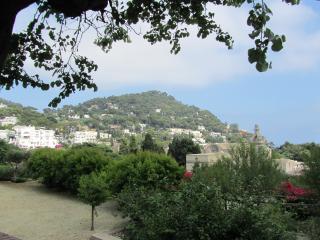 IMG_4605.JPG