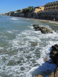 IMG_3881.JPG