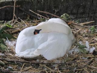 бенилюкс2011 1503.jpg
