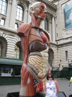 IMG_7237.jpg