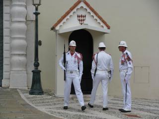 IMG_7262.jpg