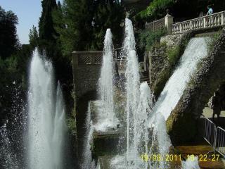 PIC_0740.JPG