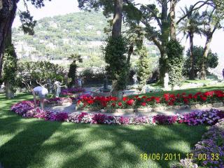 PIC_0593.JPG