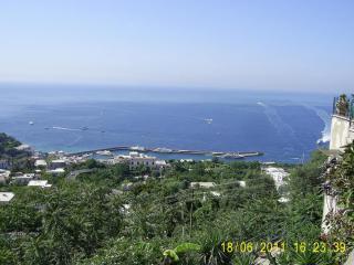 PIC_0572.JPG