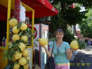 PIC_0535.JPG