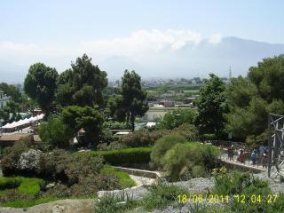 PIC_0534.JPG