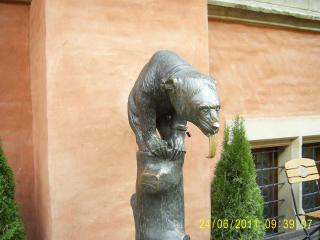 PIC_1078.JPG