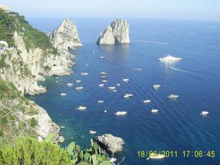 PIC_0597.JPG