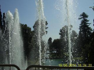 PIC_0741.JPG