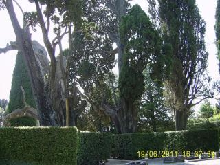 PIC_0748.JPG