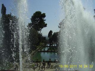 PIC_0742.JPG