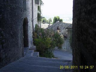 PIC_0796.JPG