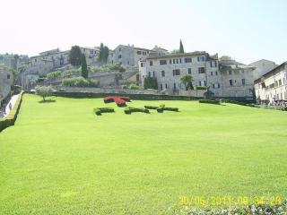 PIC_0791.JPG