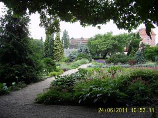PIC_1093.JPG