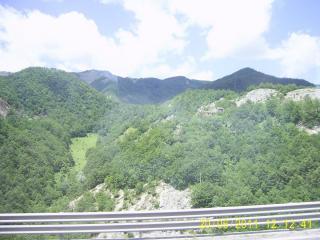 PIC_0806.JPG