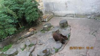 IMG_0165.JPG