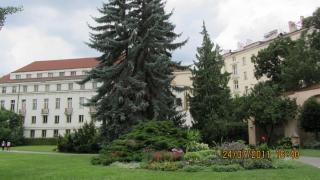 IMG_0120.JPG