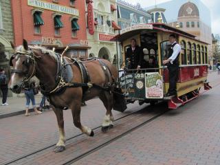 IMG_4809.JPG