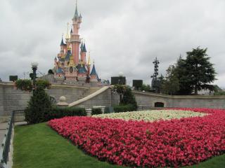 IMG_4817.JPG