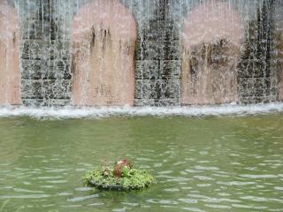 IMG_4951.JPG