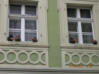 IMG_1518.JPG