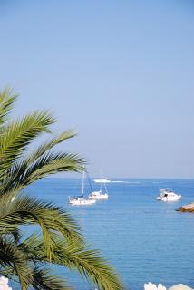 DSC_9485.jpg