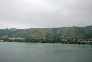 DSC_8834.jpg