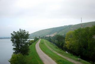 DSC_8832.jpg