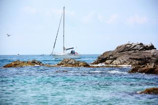 IMG_1572.JPG