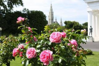 IMG_9579.JPG