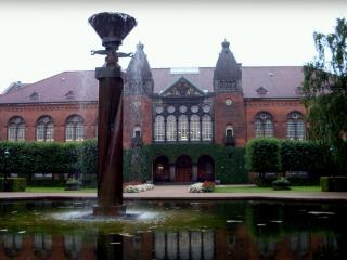 SDC12864.JPG