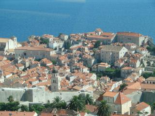 DSC00205.JPG
