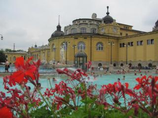 IMG_2706.JPG