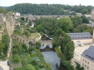 DSC07090.JPG